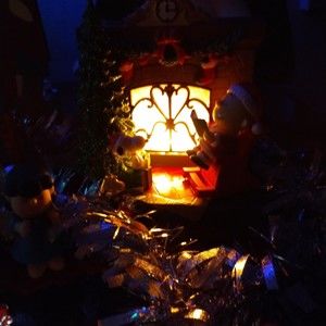 Meet your Posher, Shelly